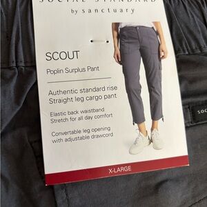Scout Poplin Surplus Cargo Pants in Dark Gray